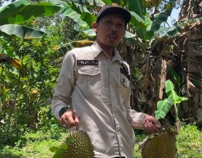 
 Pemdes Rapak Lambur Rencanakan Bangun Wisata Durian